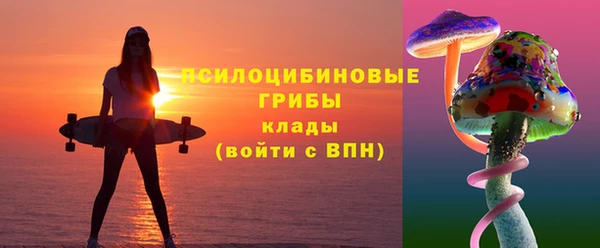 apvp Нефтегорск
