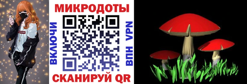 это наркотические препараты  Константиновск  Галлюциногенные грибы Psilocybine cubensis 